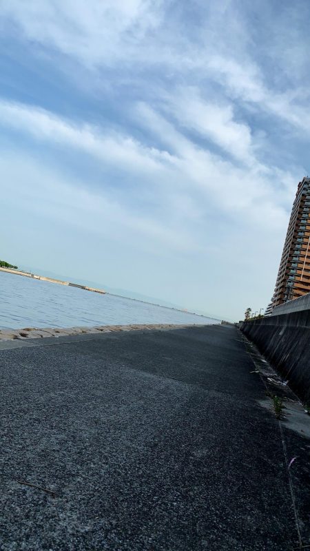 東側水道にてツバス