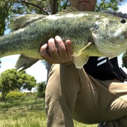 ライトテキサスで2連発