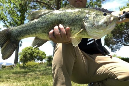 ライトテキサスで2連発