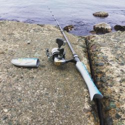 ファミリーフィッシングでカサゴ