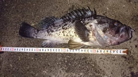 メバリング中にまさかの！？