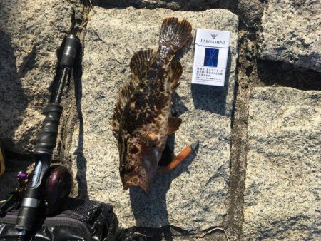 お手軽たけのこめばる