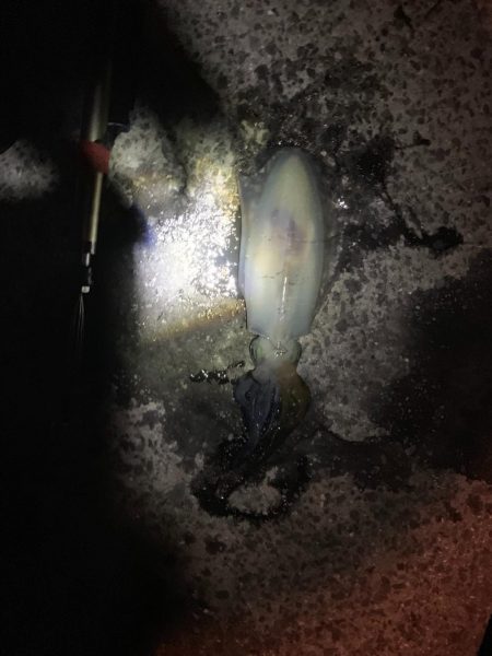 真夜中の連続ヒットでした。