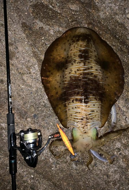 何とかキロオーバー