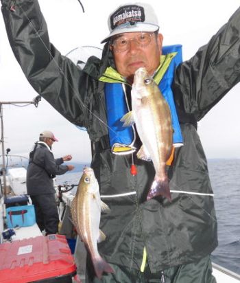 土佐安芸のハマちゃんの釣果