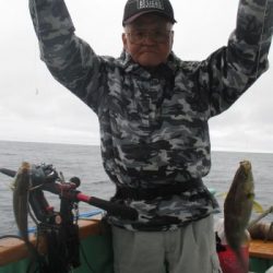 土佐安芸のハマちゃんの釣果