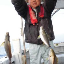 土佐安芸のハマちゃんの釣果