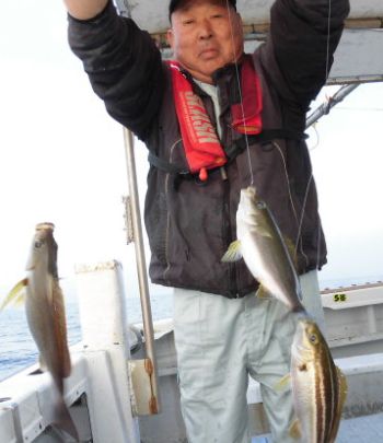 土佐安芸のハマちゃんの釣果