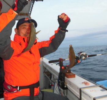 土佐安芸のハマちゃんの釣果