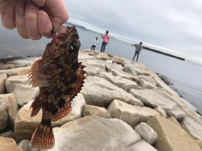 雨の合間を縫っての釣行