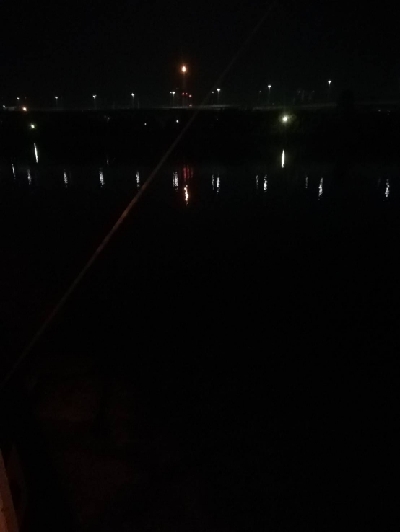 バチ抜けシーバス