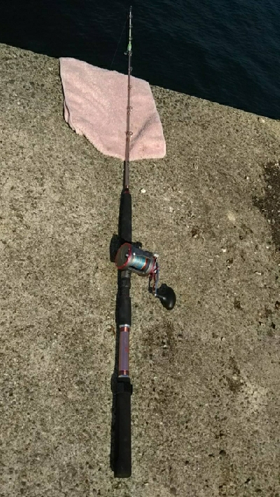 モンスターハンター釣行