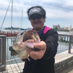 バスでのスピニングを解禁!