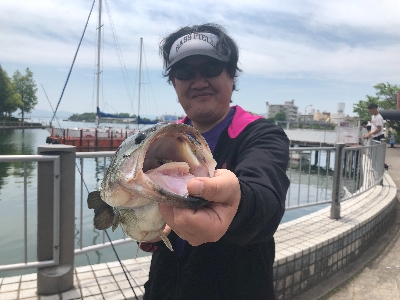 バスでのスピニングを解禁!