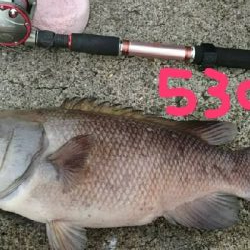 モンスターハンター釣行