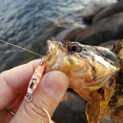 2019年5月28日釣行in伊崎漁港界隈