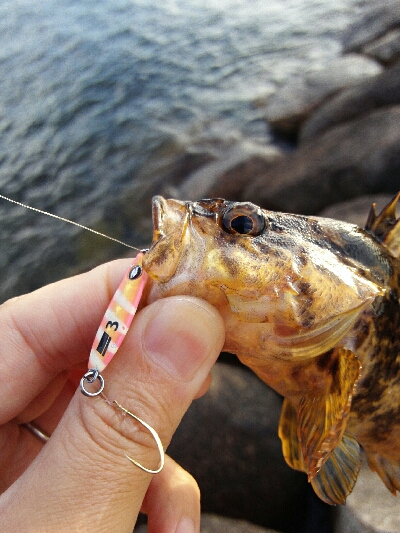 2019年5月28日釣行in伊崎漁港界隈