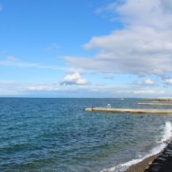 初アオリイカ げっと