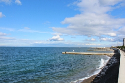 初アオリイカ げっと