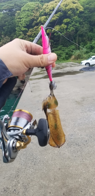 長雨の影響で不調