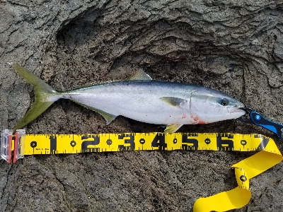 令和元年　遠征二日目にて