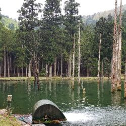 朽木渓流魚センター