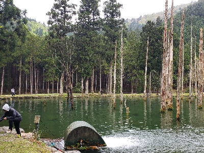 朽木渓流魚センター