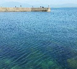 日中エギングあたりなし…