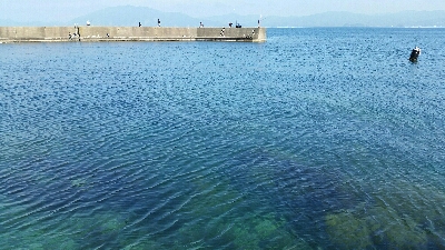 日中エギングあたりなし…