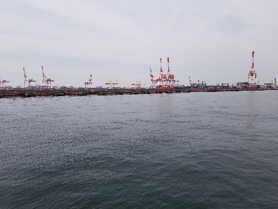 現在の神戸沖堤防。実釣と周辺確認分踏まえて。