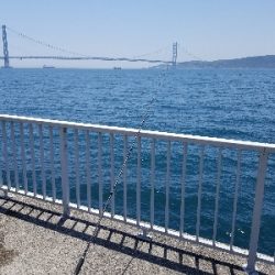 大蔵海岸シーズンイン