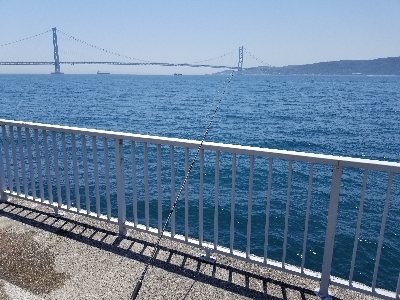 大蔵海岸シーズンイン