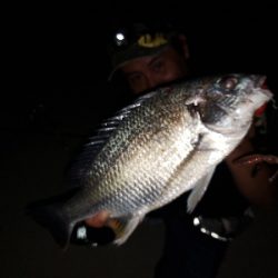 ワイワイガヤガヤ！