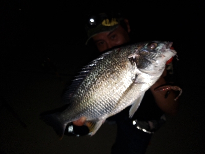 ワイワイガヤガヤ！