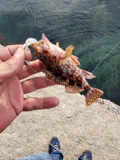 デイロックフィッシング