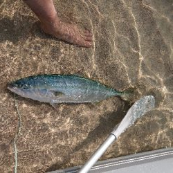 初のゴムボート