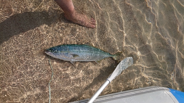 初のゴムボート