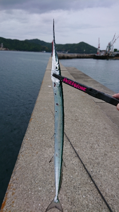 ライトゲーム&キス釣り