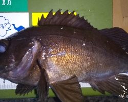 リベンジ成功(^^)/