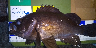 リベンジ成功(^^)/