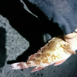 北浜小学校裏にて