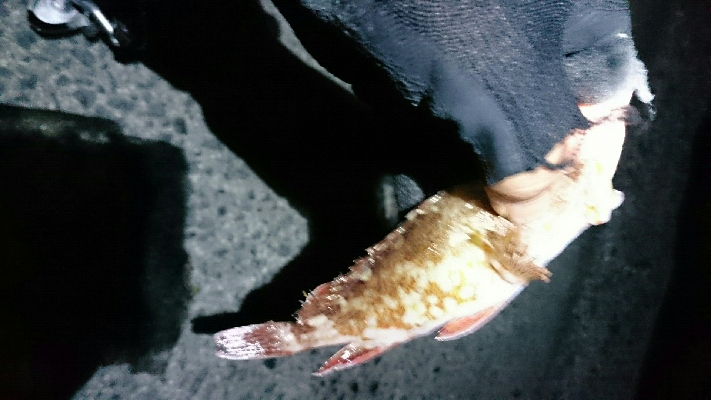 北浜小学校裏にて