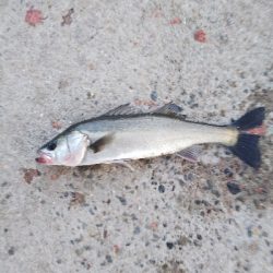 連休最後の釣行