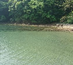 久しぶりのエギング釣行！