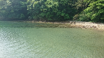 久しぶりのエギング釣行！