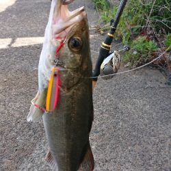 やっと停泊船ゲームだよ