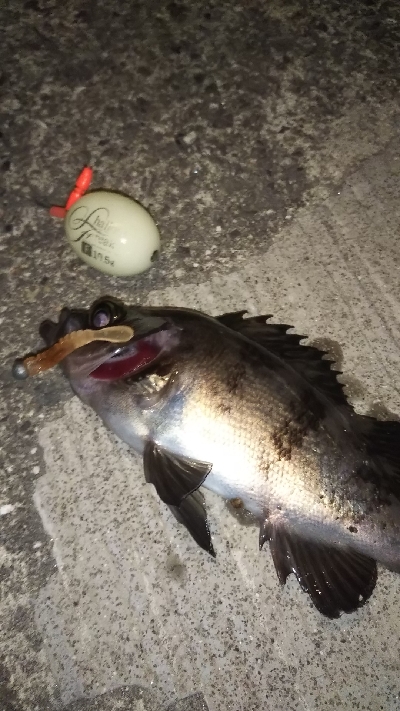 シャローハンター