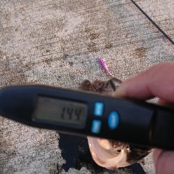 今季初のキロUP❗