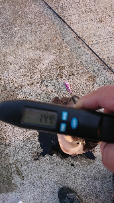 今季初のキロUP❗