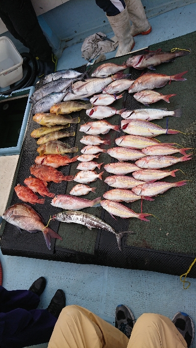 タイラバ&スロージギング&…